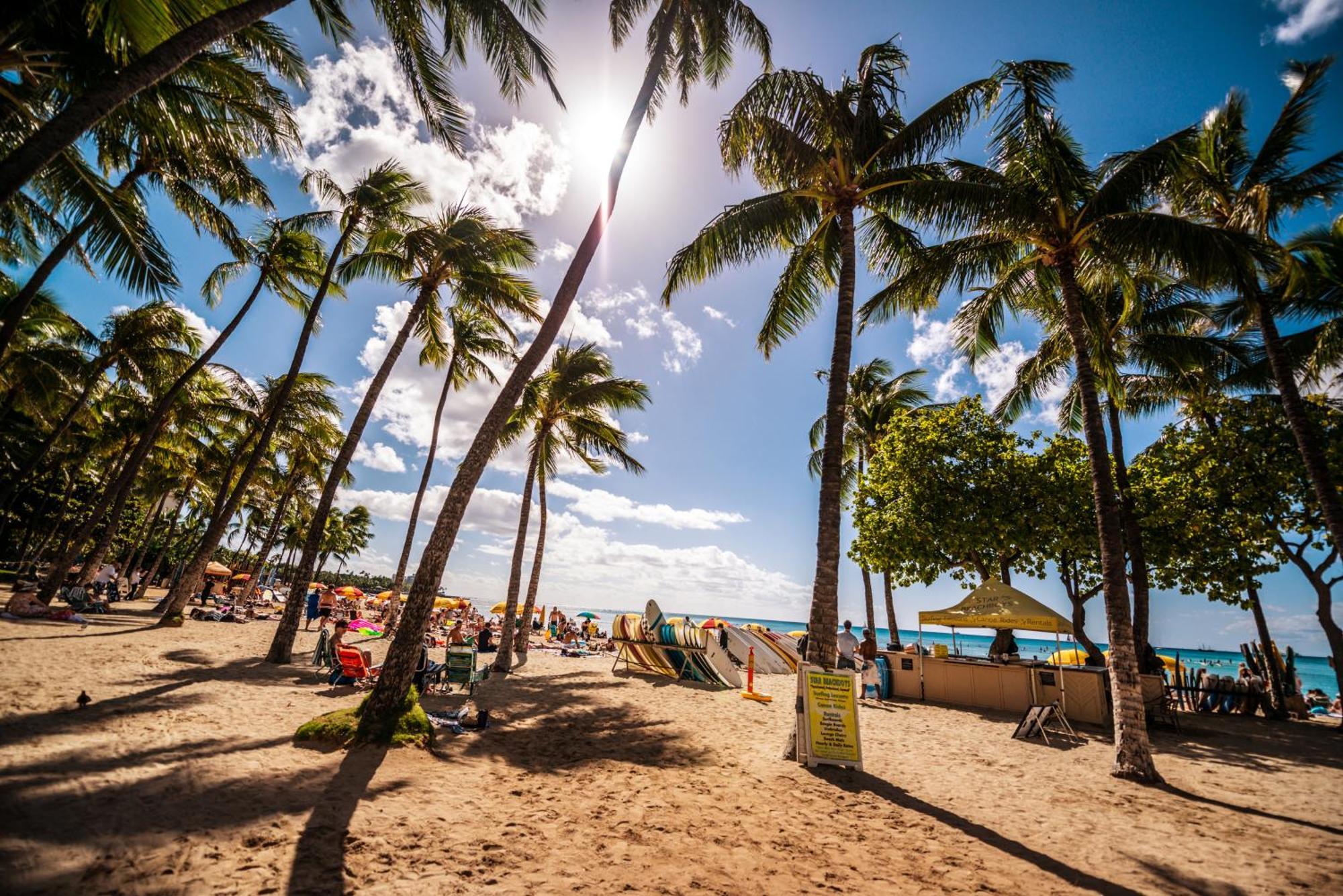 Diamond Head View Close To Waikiki Beach With Parking Гонолулу Екстер'єр фото